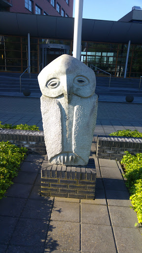 The Owl