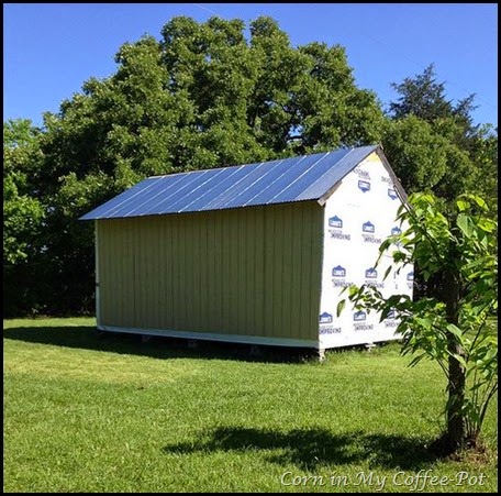 Tiny house- siding and roofing