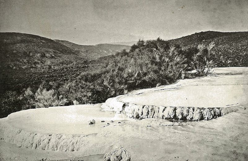 pink-and-white-terraces-5