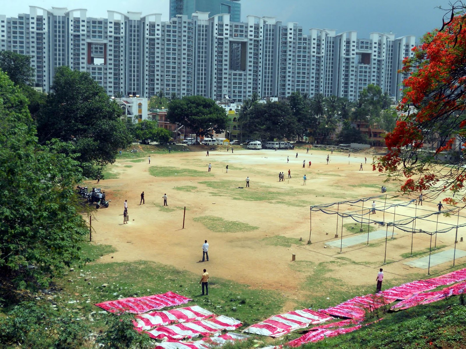 backdrop of skyscrapers at