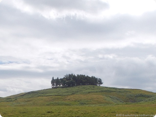 teesdale fellwalking 019