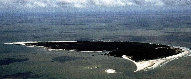 Ilha do Canela - Bragança, Parà, foto: Lela Orca