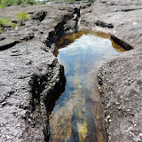 O incrível Caño Cristales - La  Macarena, Colômbia