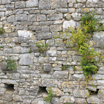 DSC05574.JPG - 3.06.2015. Dinant -  (Bouvignes - sur - Meuse); ruiny zamku Crevecoeur