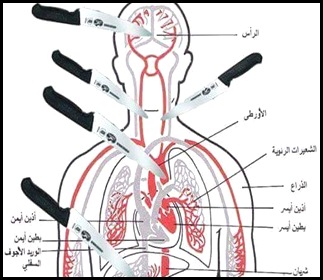 Knife.Ananatomical chartGazan Zahran Barbah on October 8, showing which parts of the body to aim for when stabbing a victim