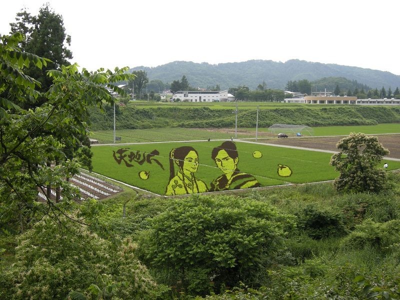 japanese-rice-paddy-art-4