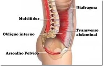 muculo-abdominal