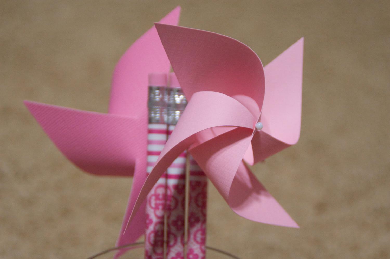 Pink Wedding Favors 6 Mini