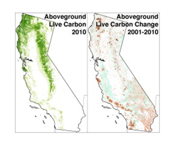 Aboveground live carbon stock changes of California wildland ecosystems, 2001–2010. The net aboveground live carbon stock change is −69 ± 15 Tg from 2001 to 2010, a rate of change of −0.8 ± 0.2 percent per year. Due to slow decay of some dead wood, all of the live carbon stock change does not immediately generate emissions. Wildfires on 6 percent of the state analysis area produced two-thirds of the live carbon stock loss. Graphic: Gonzalez, et al., 2015