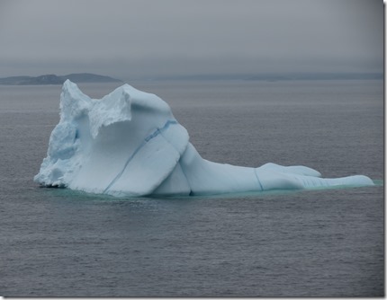 ml_sa_pumley_cove_iceberg