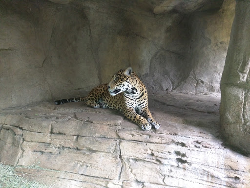 Zoo «Zoomazium», reviews and photos, 601 N 59th St, Seattle, WA 98103, USA