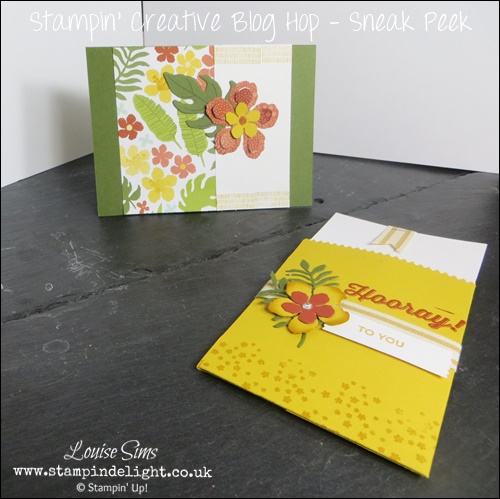 Stampin-Up-Botanical-Blooms-Card-&-Gift-Bag (1).JPG