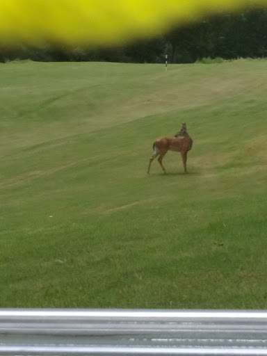 Golf Course «Coweta Club», reviews and photos, 300 Arbor Springs Pkwy, Newnan, GA 30265, USA