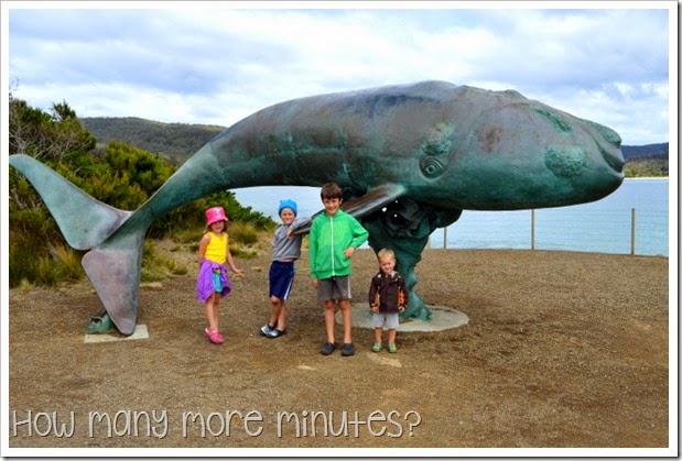 How Many More Minutes? ~ The End of the Road: Cockle Creek, Tasmania