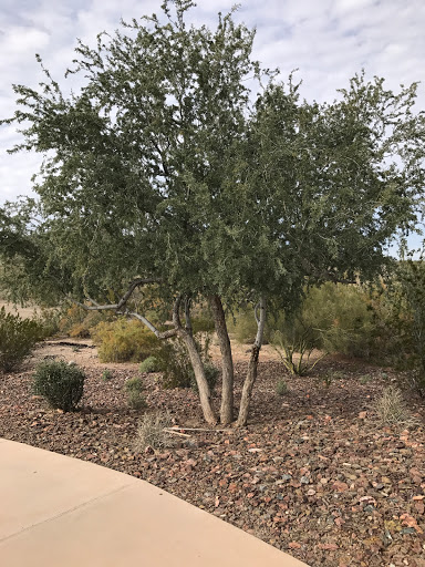 Tourist Attraction «Estrella Star Tower», reviews and photos, S Estrella Pkwy, Goodyear, AZ 85338, USA