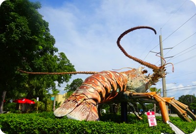 largest lobster
