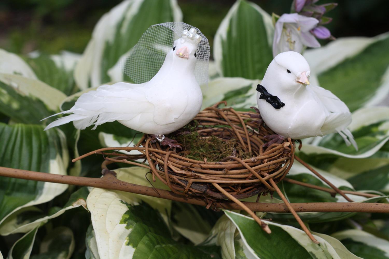 Love Birds Nest Wedding Cake