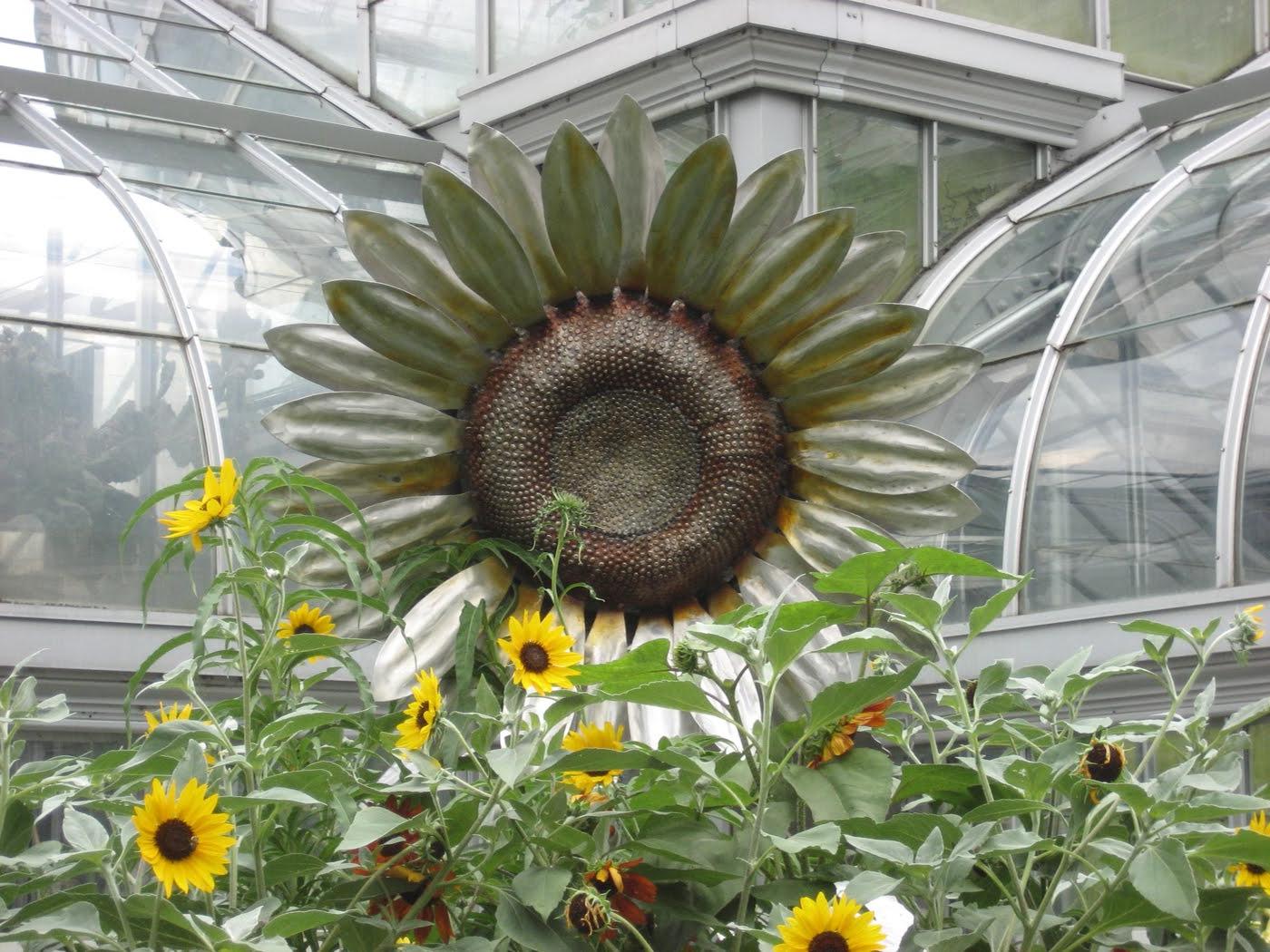 wedding flowers with sunflowers