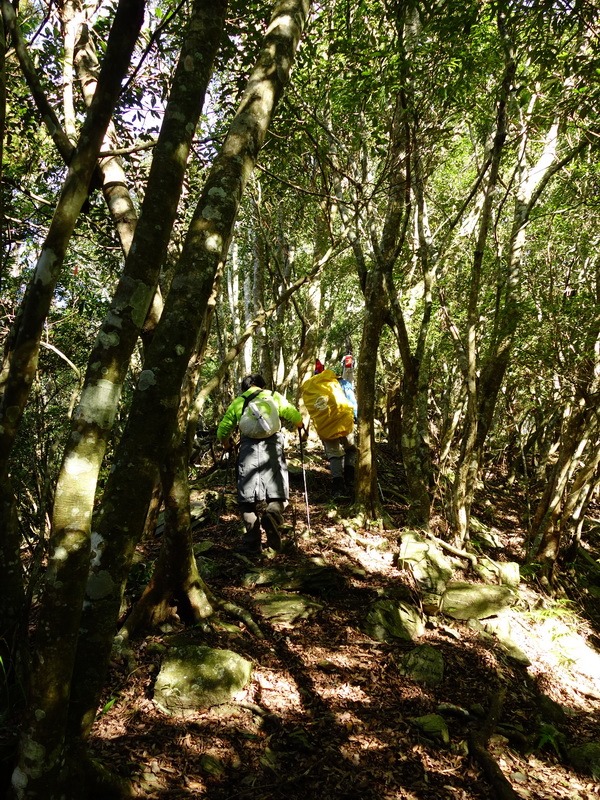 2014_0101-0105 萬山神石、萬山岩雕順訪萬頭蘭山_0269