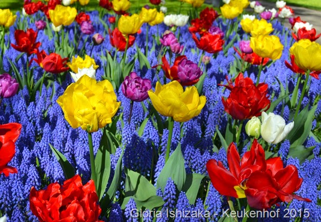 Glória Ishizaka - Keukenhof 2015 - 33