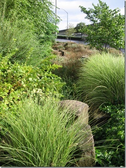 IMG_3230 Rain Garden at the Oregon Convention Center in Portland, Oregon on August 31, 2008