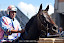 Asti 18 settembre 2015 - PALIO DI ASTI Prove cavalli - fotografia di Vittorio Ubertone http://www.saporidelpiemonte.net