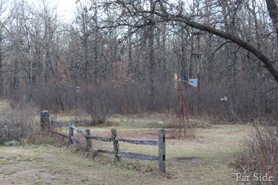 wild gardens