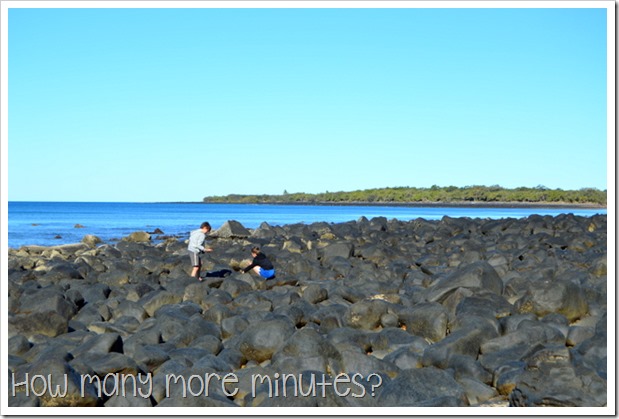 Mon Repos Turtle Centre | How Many More Minutes?