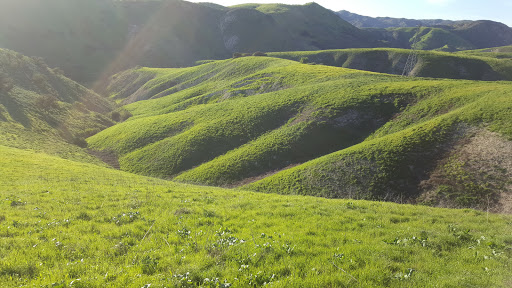 National Park «Cheseboro and Palo Comado Canyon», reviews and photos, 5792 Chesebro Rd, Agoura Hills, CA 91301, USA