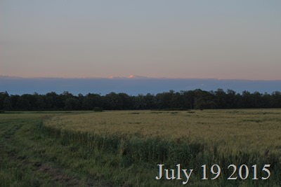 July 19 Field