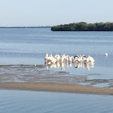 Florida Spring Break - April 2015 - 027