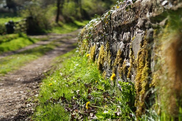 Bleng bridge in spring