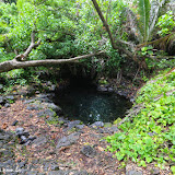 Poço de água quente - Isaac Hale Park -  Big Island, Havaí, EUA