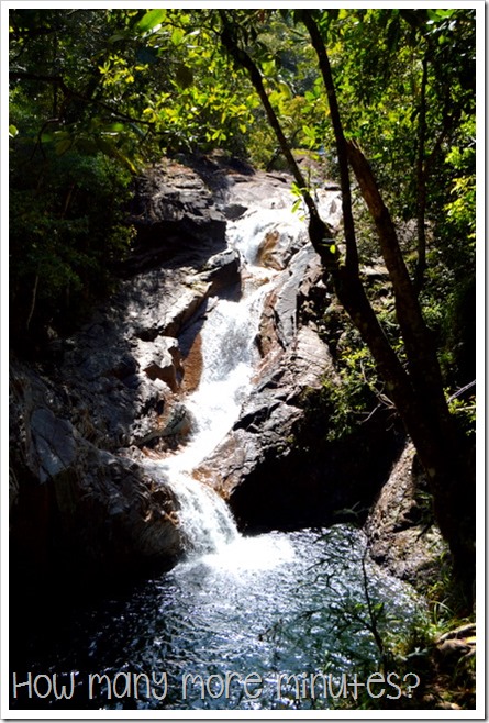 Finch Hatton Gorge | How Many More Minutes?