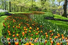 1 .Glória Ishizaka - Keukenhof 2015 - 40