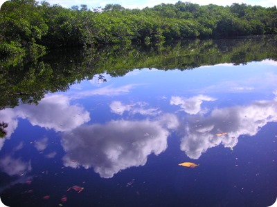 Loxahatchee River kayak tour