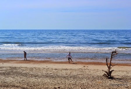 Exploring the beach