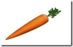 carrot 2