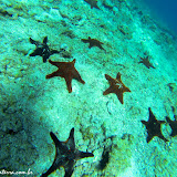 Snorkel Cerro Brujo- Rabida - Galápagos