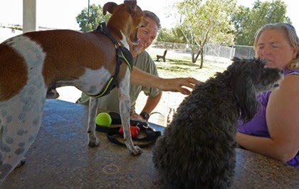 Spikes Desert Dog Park