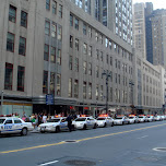 many NYPD police cars in New York City, United States 