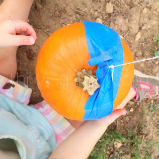 Second graders will love this pumpkin  engineering opportunity! Comes with NGSS alignment so it can be used in the classroom or at home.