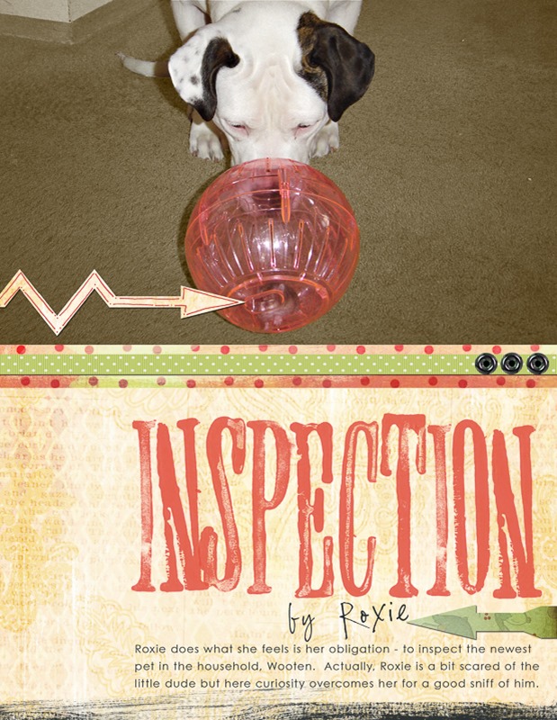 inspection_by_roxie_copy_34