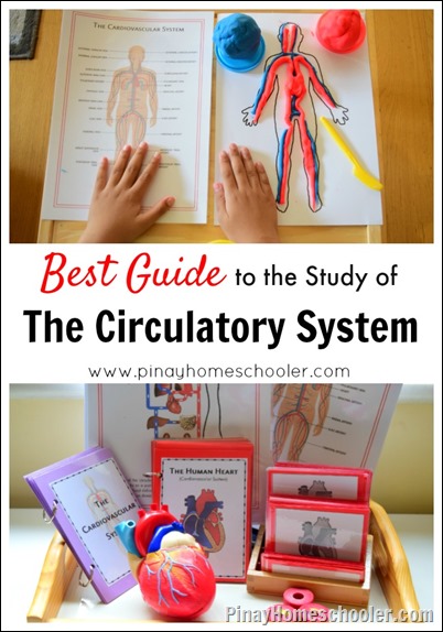 The Pinay Homeschooler: human body