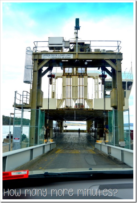 Catching the Ferry to Bruny Island ~ How Many More Minutes?