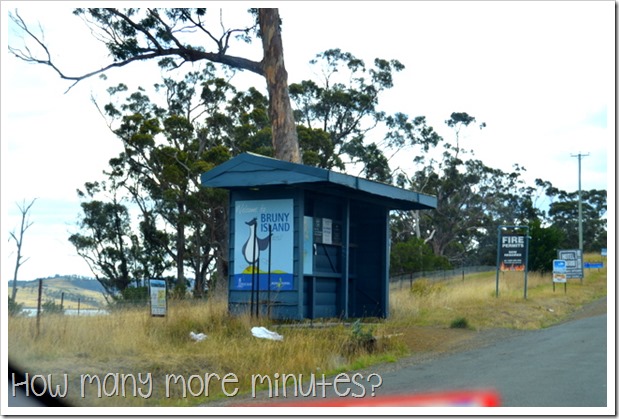 Catching the Ferry to Bruny Island ~ How Many More Minutes?