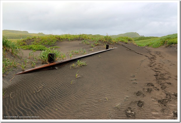 150908_Adak_road_to_Candlestick_Bridge_WM