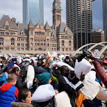 pillow fight day toronto 2015 in Toronto, Ontario, Canada