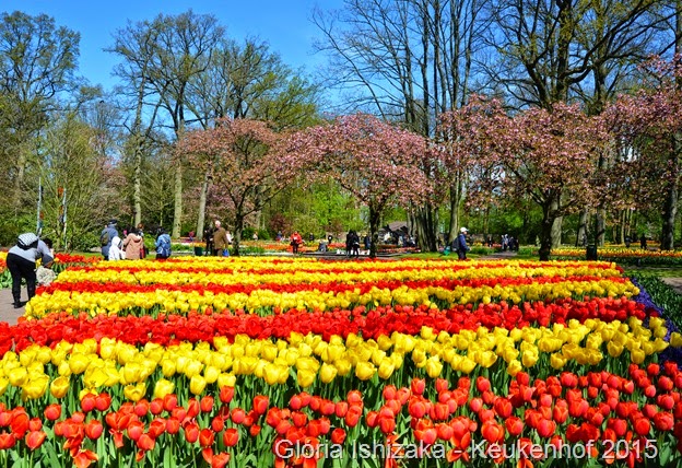 1 .Glória Ishizaka - Keukenhof 2015 - 89