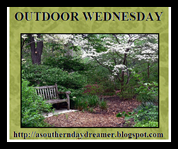 Outdoor-Wednesday-logo_thumb1_thumb1